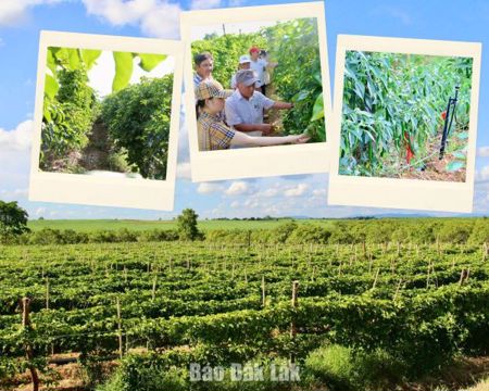 Đánh thức tiềm năng trên vùng đất khó