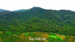Phát huy sức dân trong bảo vệ rừng ở Nam Ka