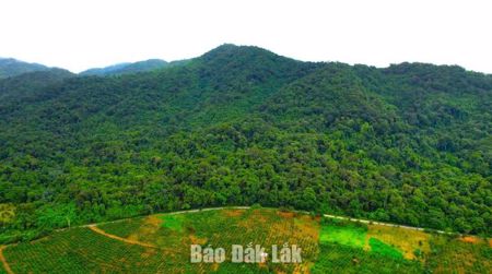 Phát huy sức dân trong bảo vệ rừng ở Nam Ka