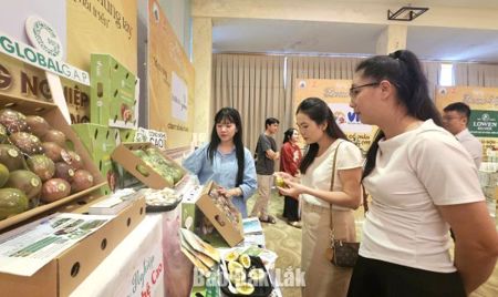 Tạo cơ hội để kinh tế tư nhân bứt phá