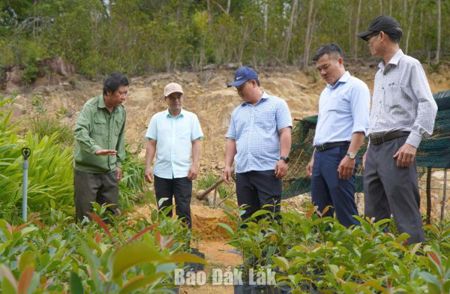 Xã Suối Trai: Tìm hướng chuyển đổi cây trồng
