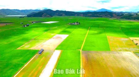 Nam Ka: Đưa rác thải nguy hại ra khỏi đồng ruộng