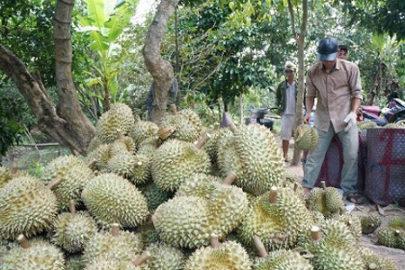 Ngành nông nghiệp phối hợp đồng bộ để đạt mục tiêu tăng trưởng