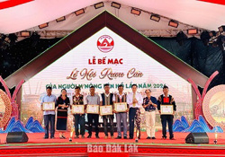 Tìm ra “Vua rượu cần” tại Lễ hội Rượu cần của người M’nông bên hồ Lắk