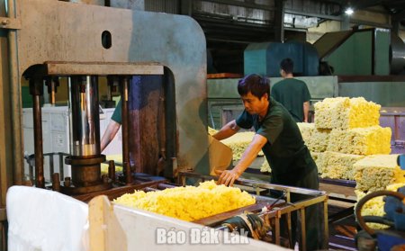 Phát triển ngành hàng cao su bền vững