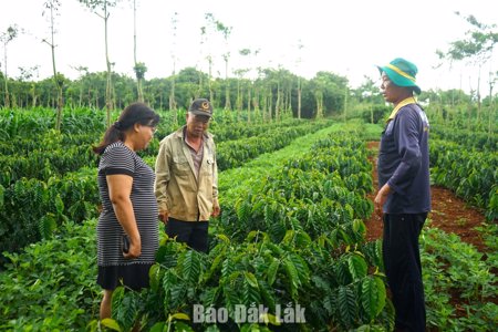 Nghiên cứu khoa học: Từ đề án đến giá trị thực tiễn