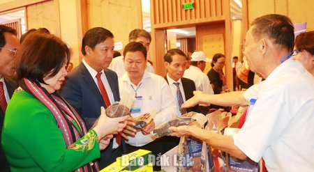 Xây dựng mô hình HTX kiểu mới: Tạo dựng nền kinh tế nông thôn hiện đại và bền vững