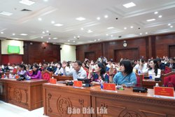 Quy định mới về phụ cấp đối với người hoạt động không chuyên trách ở thôn, tổ dân phố
