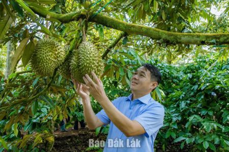 Khi nông sản "gánh vác" sứ mệnh vùng đất