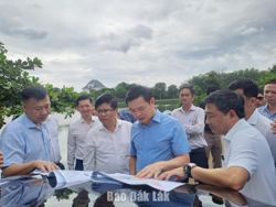 Đắk Lắk: Thu ngân sách đạt hơn 11.397 tỷ đồng