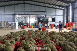 Gỡ rào cản cho kinh tế tư nhân