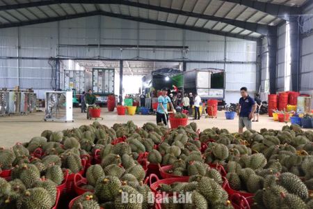 Gỡ rào cản cho kinh tế tư nhân