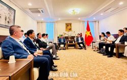 Đắk Lắk tăng cường xúc tiến, kết nối hợp tác với Nhật Bản