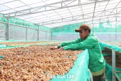 Dư địa tăng trưởng mới