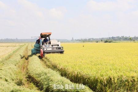 Xây dựng chiến lược phát triển thị trường bền vững