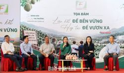Xây dựng hệ sinh thái để nâng tầm sầu riêng Việt Nam
