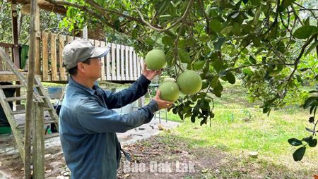 Sức sống mới ở Xuân Lãnh
