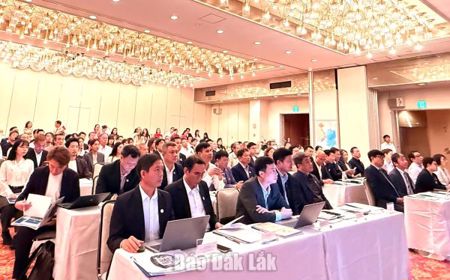 Kết nối doanh nghiệp tỉnh Đắk Lắk và Nhật Bản