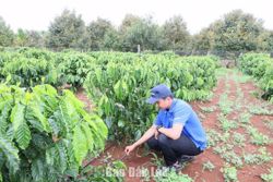 Đắk Lắk ban hành Bộ tiêu chí xã nông thôn mới giai đoạn 2026 - 2030