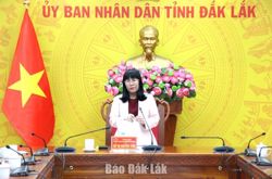 Chuẩn bị phương án dự phòng, bảo đảm thông tin liên lạc mùa mưa lũ