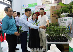 Ra mắt Điểm tư vấn kỹ thuật, trưng bày sản phẩm nông nghiệp và chuyển đổi số