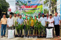 Hỗ trợ nông dân Đồng Xuân trồng dừa thâm canh