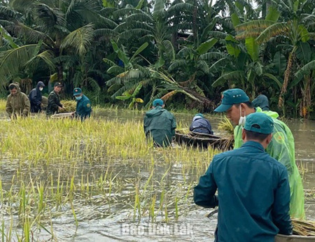 Khẩn trương triển khai hỗ trợ ứng phó mưa lớn kéo dài trên diện rộng
