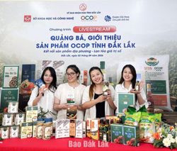 Livestream giới thiệu, quảng bá sản phẩm OCOP Đắk Lắk