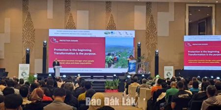 Quảng bá giá trị Công viên địa chất Phú Yên tại Hội nghị Mạng lưới Công viên địa chất toàn cầu 2026