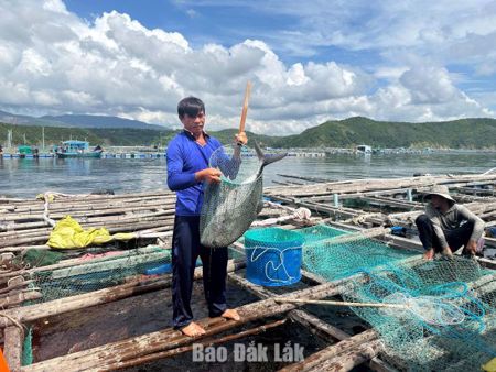 Quy định mức thu tiền sử dụng khu vực biển đối với 6 nhóm hoạt động