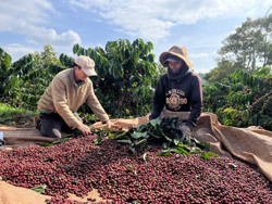 Khởi sắc nông nghiệp Krông Búk