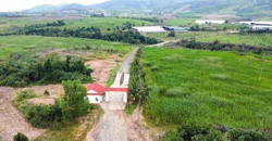 Khắc phục sai sót của Dự án đầu tư phát triển chăn nuôi đại gia súc hướng thịt của Công ty Sao Đỏ