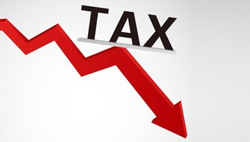 Vì sao không giảm 2% thuế cho tất cả hàng hóa, dịch vụ?