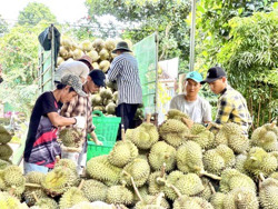 Vỡ mộng với trái cây "vua”