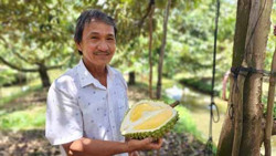 Lợi thế cạnh tranh của sầu riêng Việt Nam với các nước trên thế giới