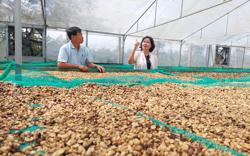 Một năm nhiều niềm vui của nông dân Krông Năng