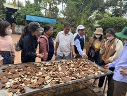 Xây dựng Quỹ Hỗ trợ nông dân gần 56 tỷ đồng