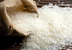 Xuất khẩu gạo lần đầu vượt mốc 4 tỷ USD