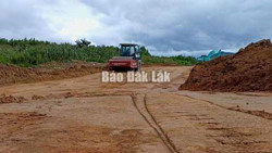 Đồng ý chuyển đổi gần 200 ha đất rừng để thực hiện Dự án cao tốc Khánh Hòa – Buôn Ma Thuột