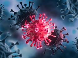 Bộ Y tế nói gì về biến thể JN.1 của virus SARS-CoV-2?