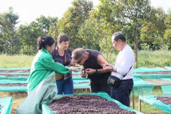 Tiêu thụ sản phẩm OCOP gắn với du lịch nông thôn: Cần làm gì để phát huy hiệu quả?
