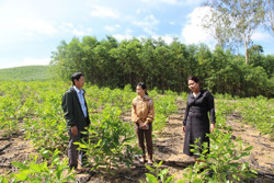 Những điểm mới của Dự thảo Luật Đất đai (sửa đổi)
