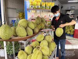 Sầu riêng chực chờ lên 'cơn sốt'