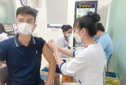 Không chủ quan với bệnh dại