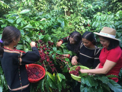 Giải “cơn khát” về đất cho hợp tác xã nông nghiệp