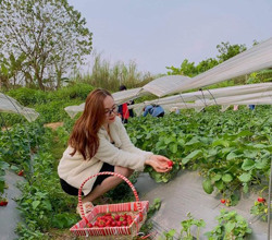 Khai phá tiềm năng 'mỏ vàng' du lịch