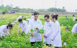Nghịch lý tuyển sinh đại học