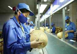 Vốn cho doanh nghiệp nhỏ và vừa