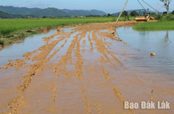 Dự án Đê bao ngăn lũ phía Nam sông Krông Ana: Thiếu gần 120.000 m3 đất đắp