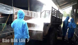 Tăng cường công tác kiểm dịch y tế biên giới